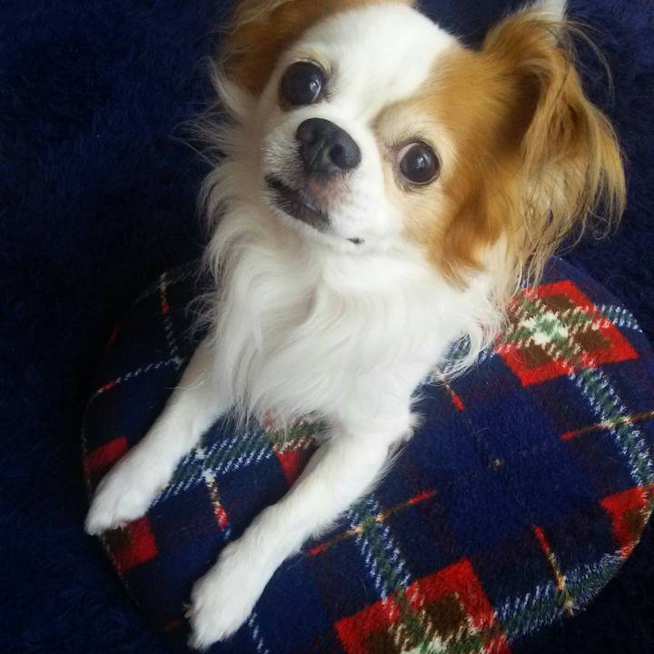 66b0e17d 81c1 4324 abba 1a9cf1a83f54