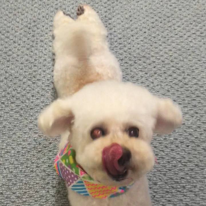 66b13c18 8ae7 45be 8ca5 9a2a00db6559