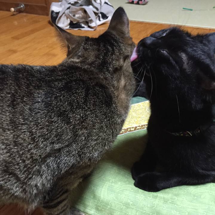 66b2633e 4ed0 4848 9473 71349f463b3a