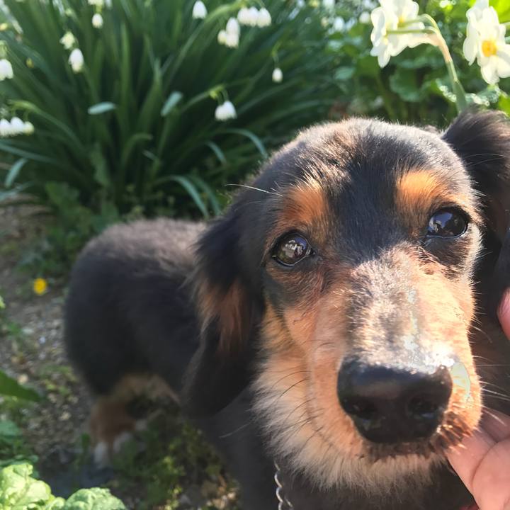 66b2e838 df65 482a 9d8c cb18e8da438a