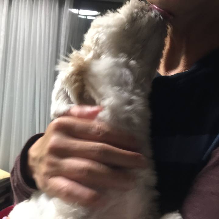 66b31261 bc17 4edc 9d94 cc938a7a9997