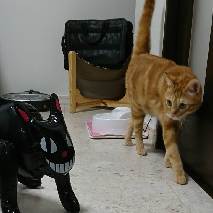 66b35a1d 41b0 426e bcbe d1aa99d309c0