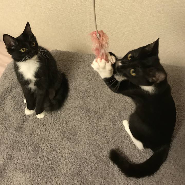 66b36347 b1e5 495a 871f 196b3430bbba