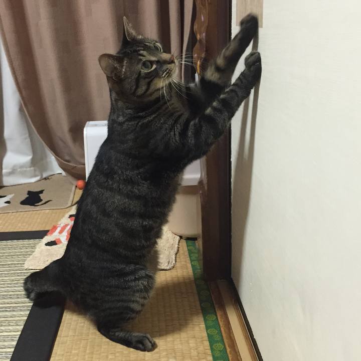 66b3767e 0a67 4ef7 8a29 39e9f163a1c0