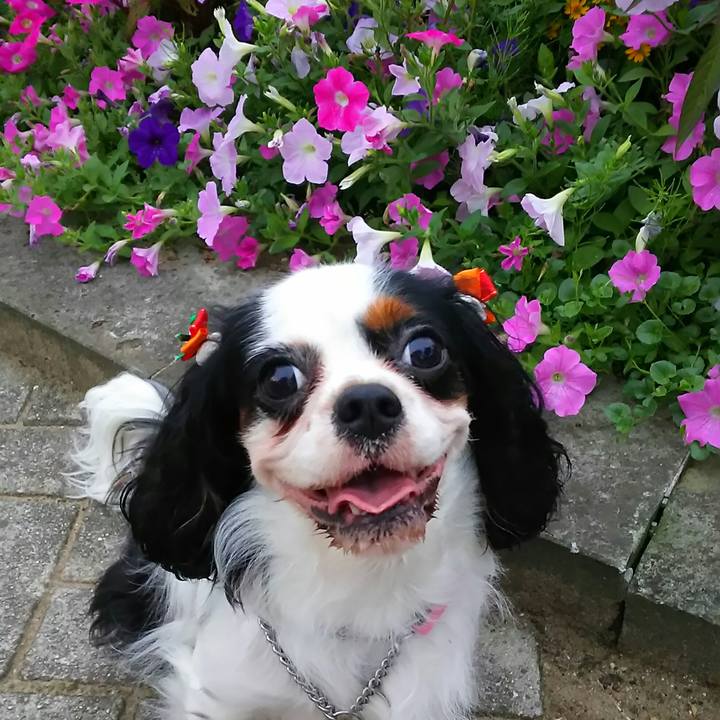 66b41694 c979 400e a7f7 ca29d44423b3