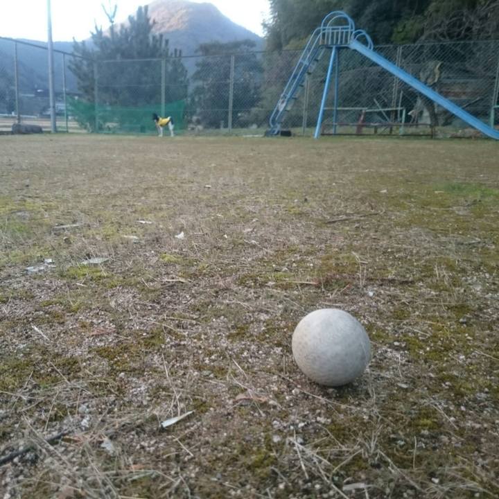 66b4f535 d979 433c baea fb34f36a1ef2