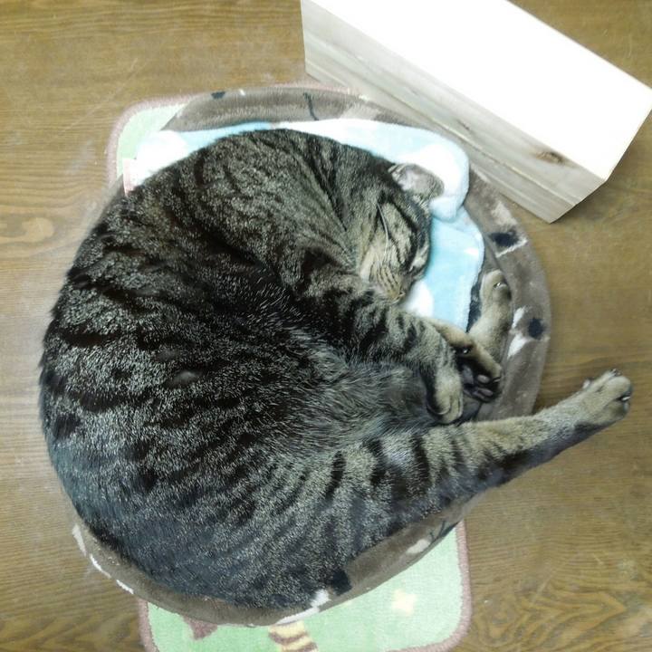 66b50d71 a232 4856 8331 f5d641e1ec10