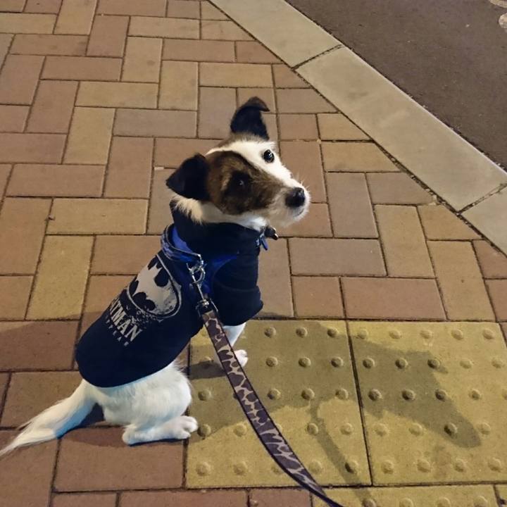 66b516c4 8897 4b67 af11 9c836aa9df9e