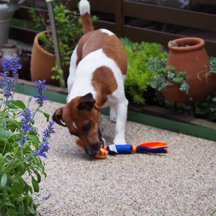 66b55505 651d 48ba 9661 59414166b8fd