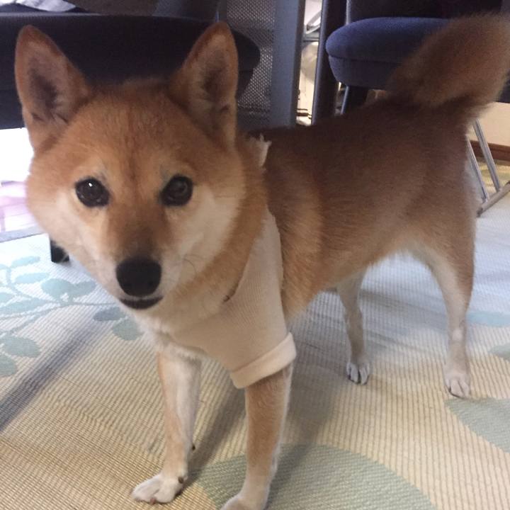 66b57d2f 211e 41c7 aba7 29069adabee6