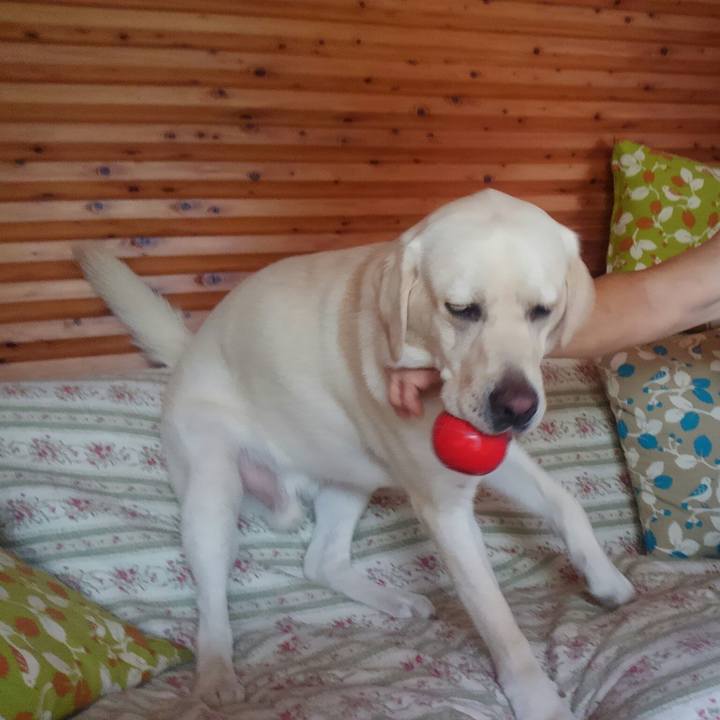 66b5931c 2043 4d5b b6a6 619cf95da3cf