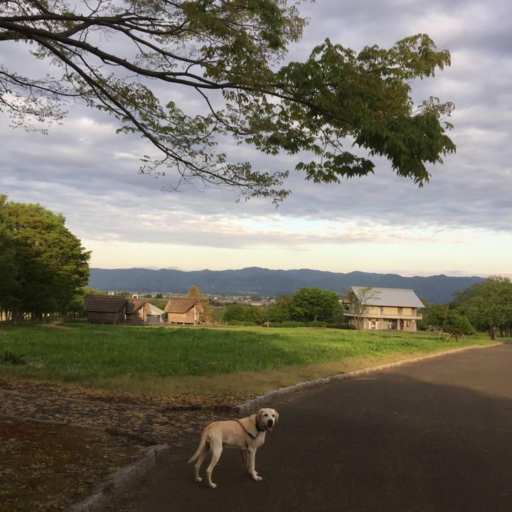 66b5a06c 1cf4 4e00 a95b b0110f2ae76c