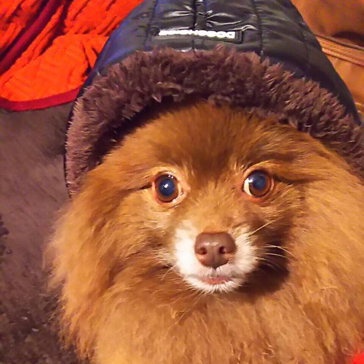 66b5f1ef be0a 4f47 b06a 110a461bc0e5