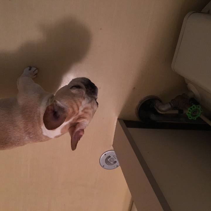 66b602c4 19a6 40a8 86a6 4aa5d880d694