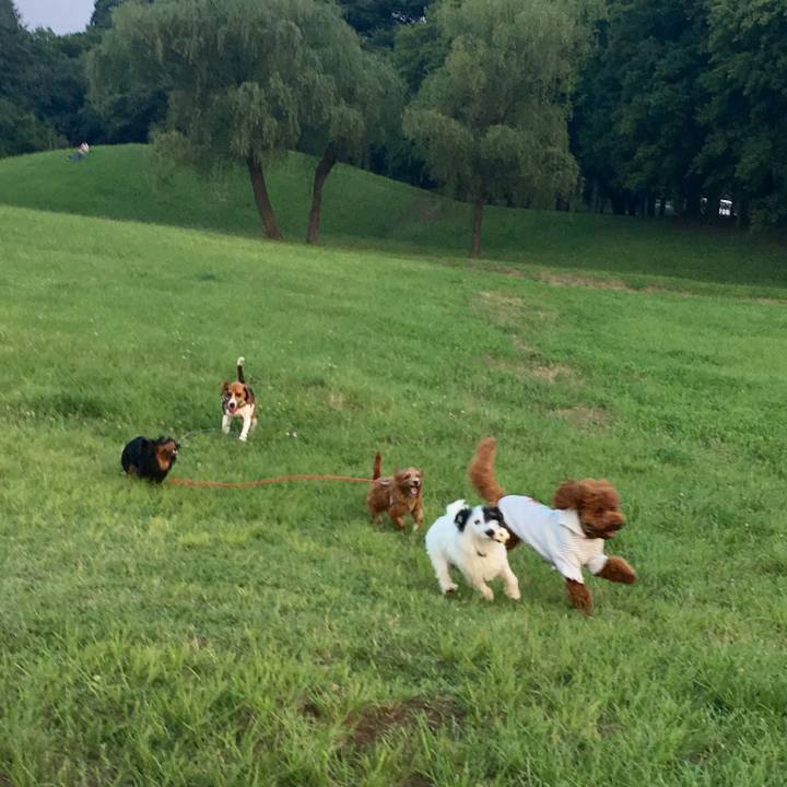 66b66def 58e0 4d7f 9741 ed90b3043eab