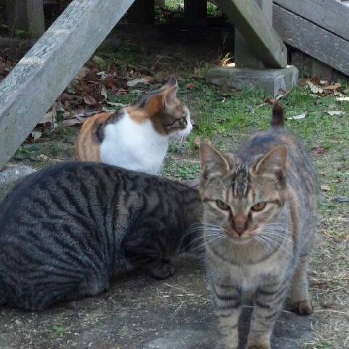 66b70d7a aeb7 43a7 8b6f c45b6033b1f9