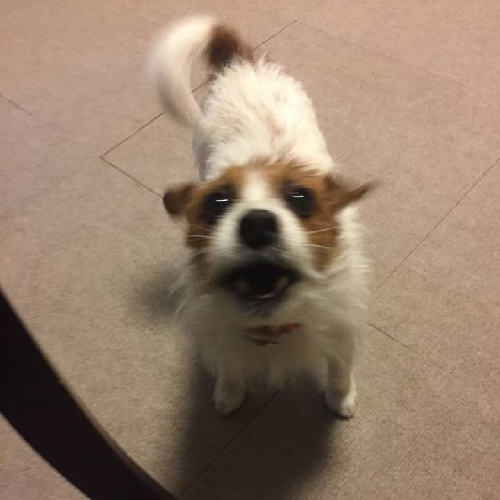 66b767a5 52dd 408a b228 6254b909305e