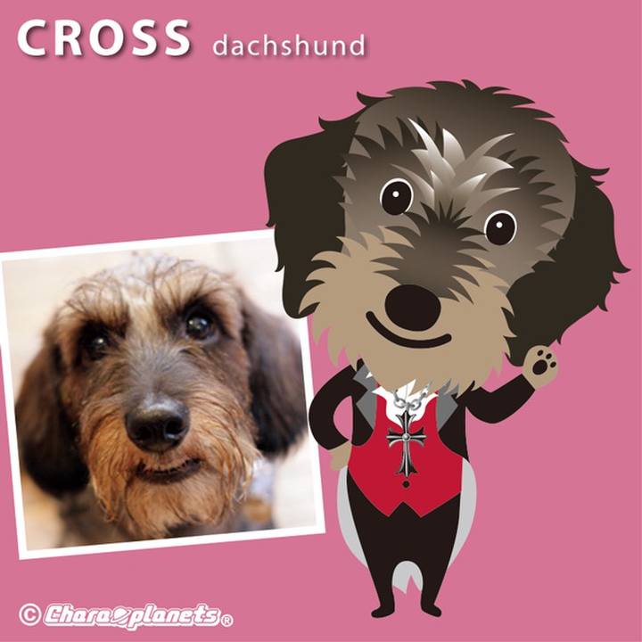 66b7d898 6b7c 4c3a 85a9 6d012a9fa274