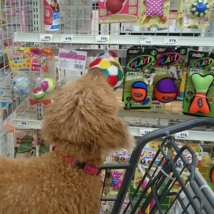 66b80a71 b7bd 4736 b043 e8d4e589b41d