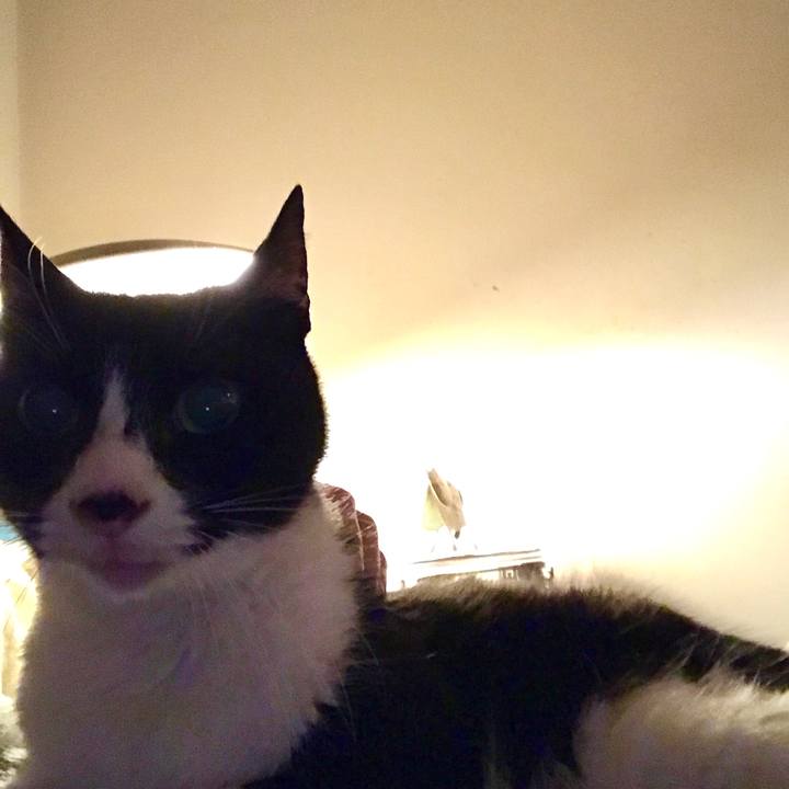 66b8fc3a 8c06 4932 80f0 f85232d05cf4