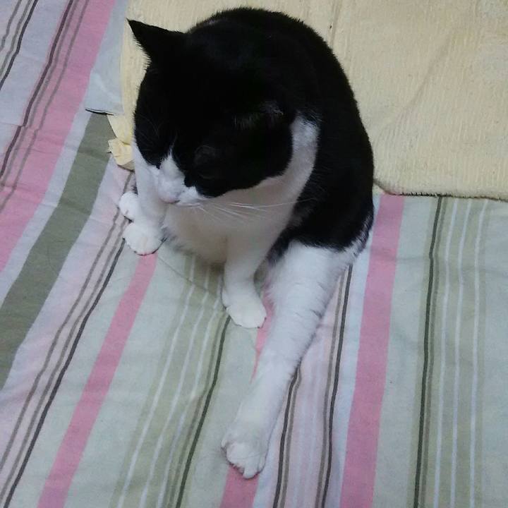 66ba2aa0 ef68 4557 84b4 b56056c9e3a1