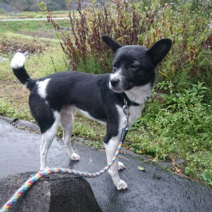 66ba89cc f9dd 48e3 8ec6 fd5a9ebdb78d