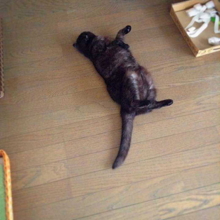 66baaaab 59fb 4b97 8550 29378c12a671