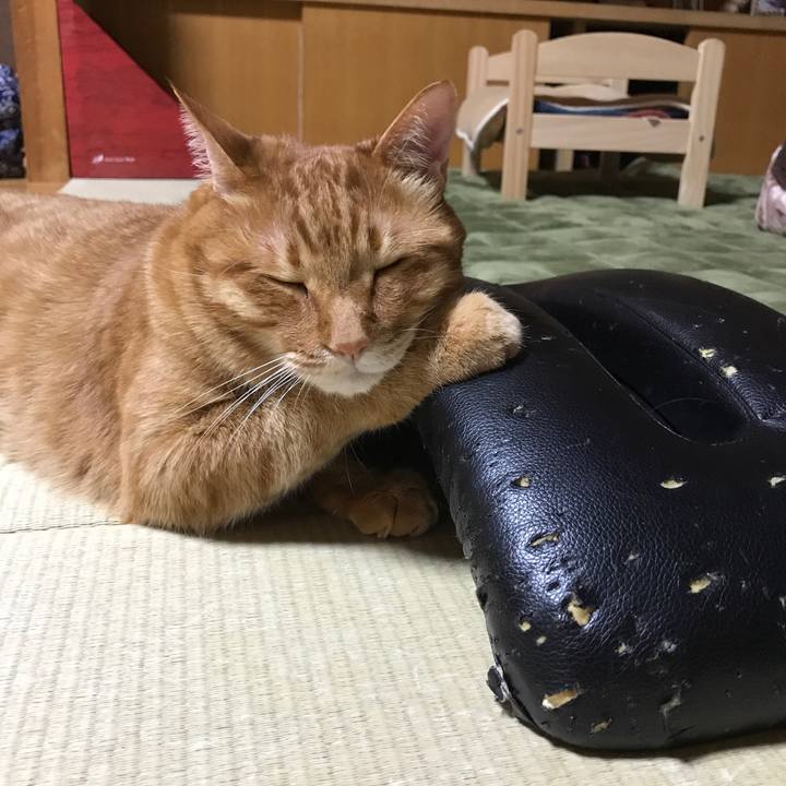 66bac768 e909 4861 add2 e59bade472d4