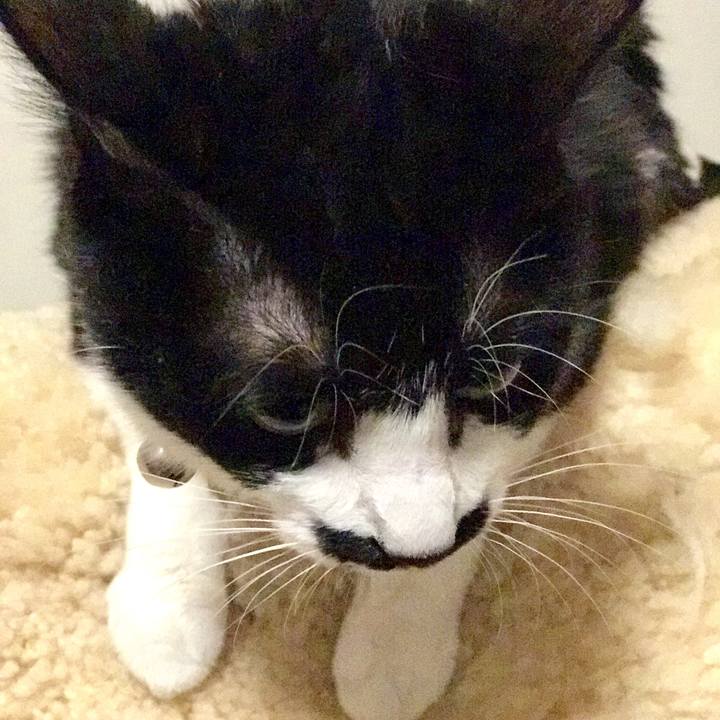 66badd30 066e 4846 88a3 cfacbe37cf76