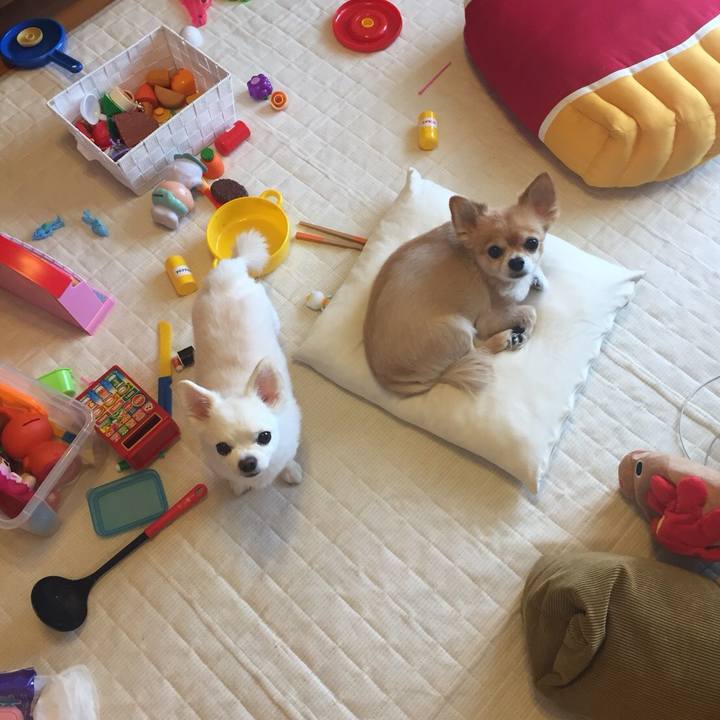 66bb2909 18a8 4484 83d6 6aca0c97ec51