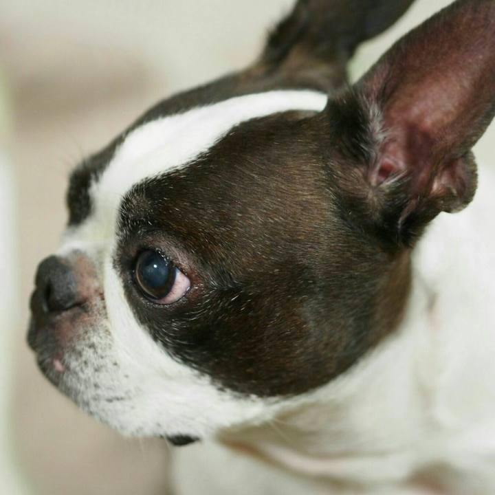 66bbbde4 0dda 4926 a60b 29d1d27d9c03