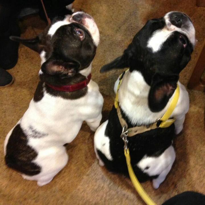 66bbf441 6313 4cb7 b255 3260f7c51905