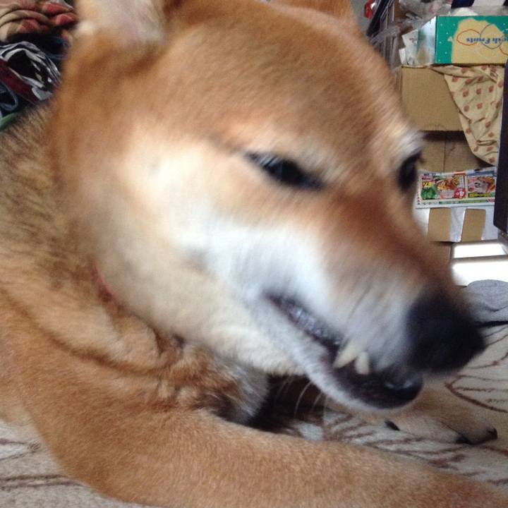 66bc7e76 a4a9 49da a175 5d3e5ab3dcdf