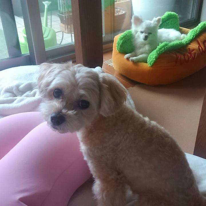 66bcbd3d bdd4 457b 9e79 9b14b0f6a4b0