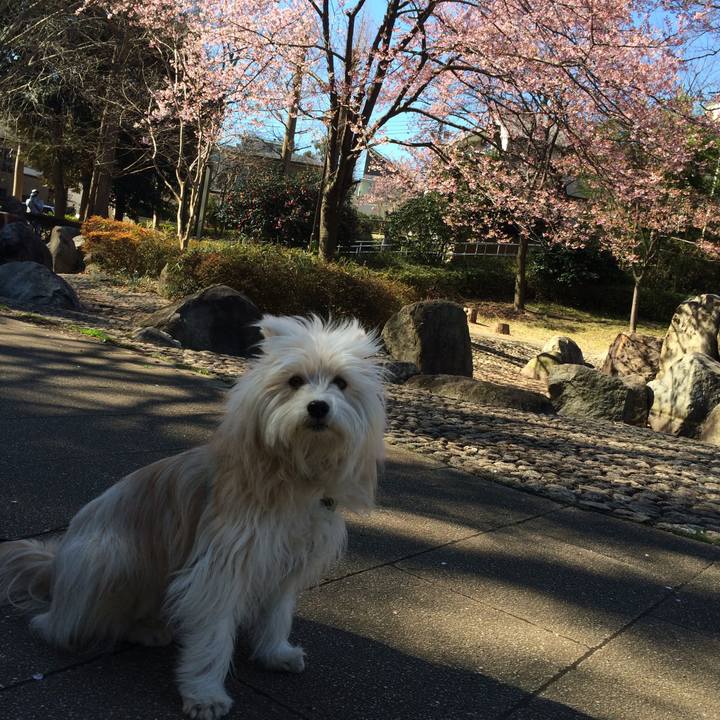 66bcc62d 580d 4f57 98ae d1b8168ceaa3