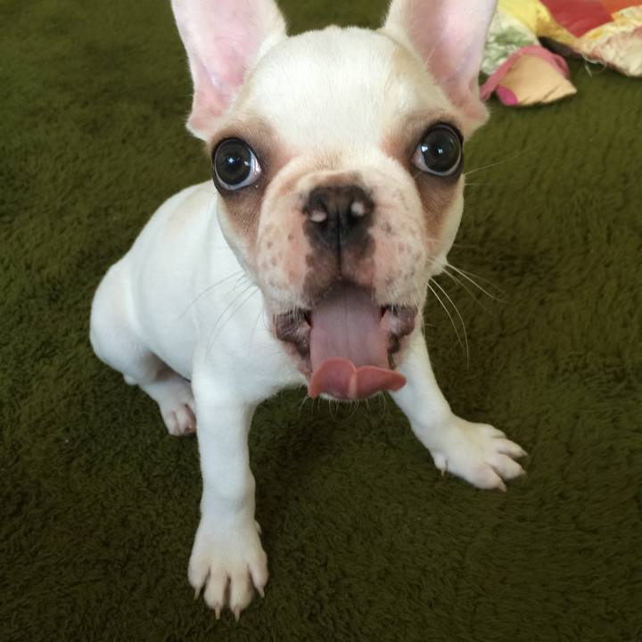 66bce320 021f 4de0 a039 0e49c60bafc6