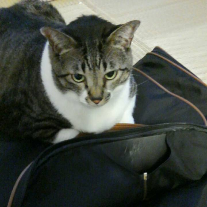 66bd4f81 a28d 4345 81e6 6c00ba4c0866