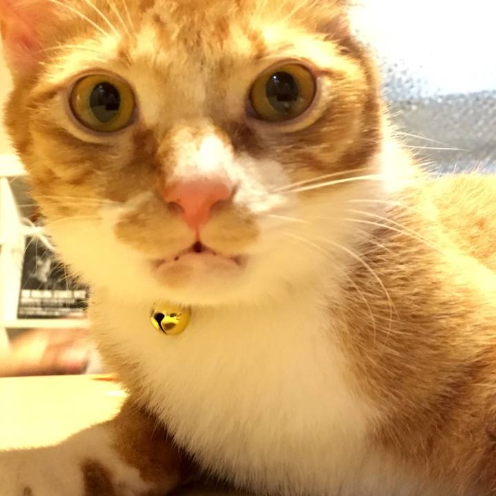 66bd6f51 cf1d 4b48 bb07 0aad4629ae6d