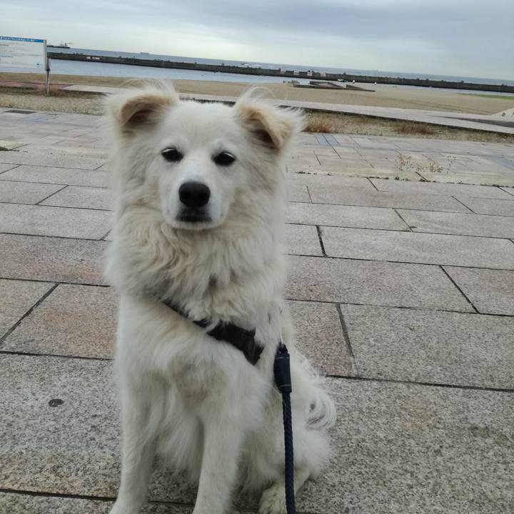 66be07d7 9178 4445 af62 0b5d088f1a33