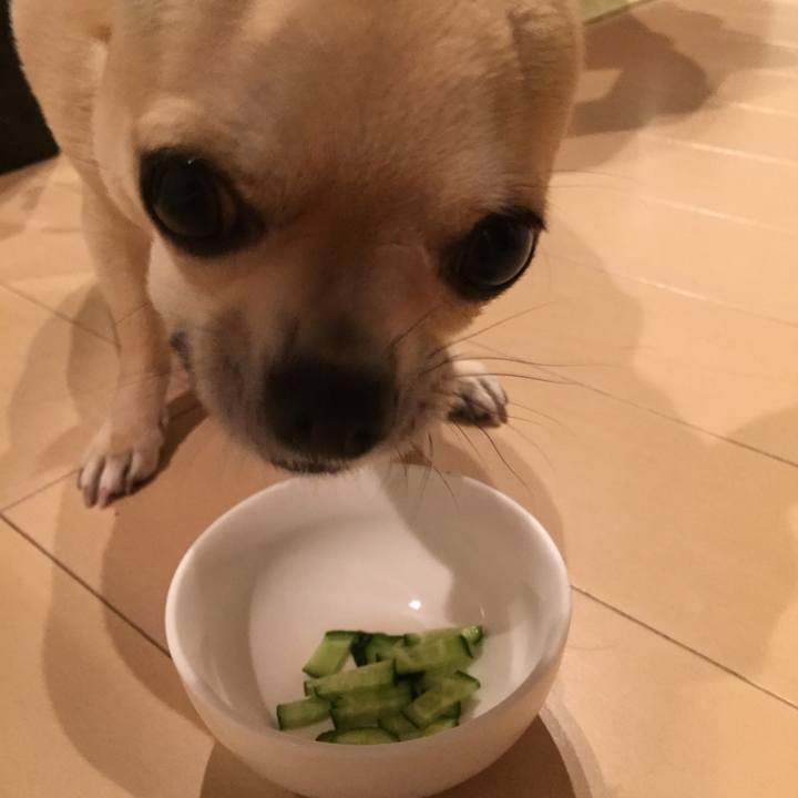 66be51e9 898b 4220 8125 d60ca5fcbd68