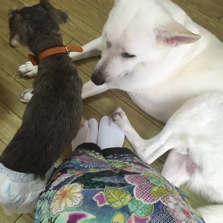 66be71b0 921f 4841 aa17 d55c039e9300