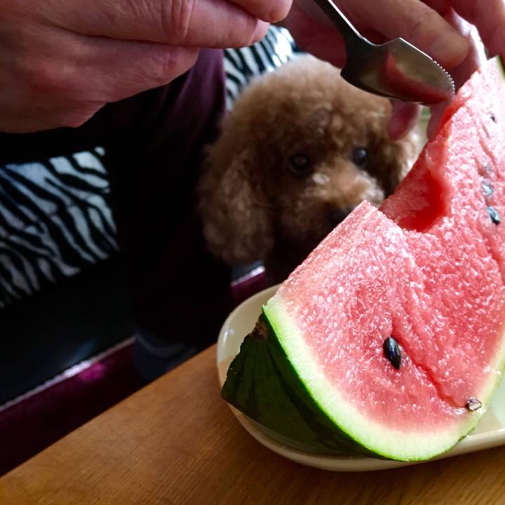 66be93c5 ef2d 4e20 a284 eaf8d9ce4a36