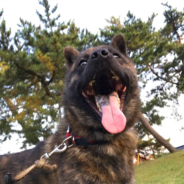 66bfab54 5cd6 4da1 a258 4a25f81434ee