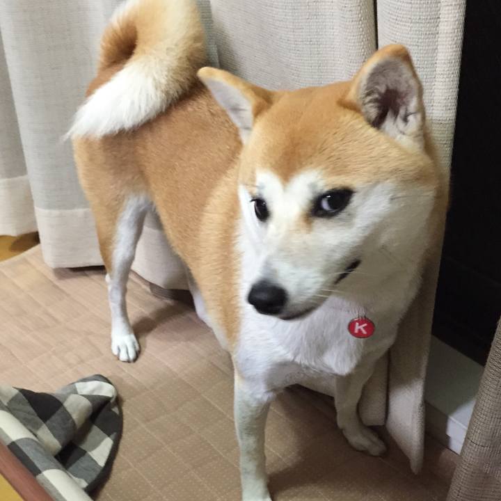 66bfc856 7f7a 484b a833 1cc3933fcb09