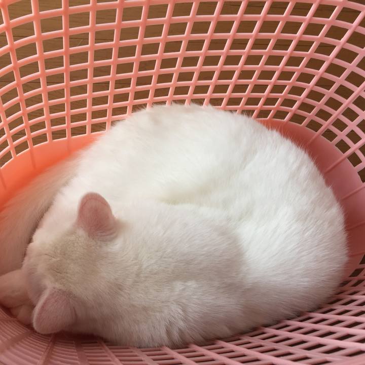 66c06403 f8b6 4454 bd7c 64c7f2c4b1e8