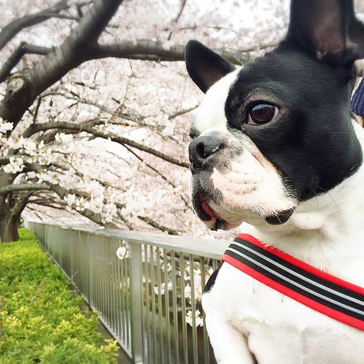 66c08316 1968 4126 8ef9 82a70a667200