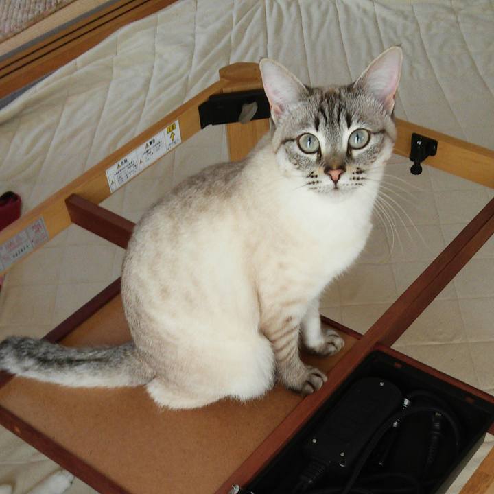 66c0f0d2 d32e 4e9a 98b3 f3559c6e6460