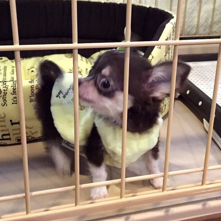 66c11d63 6a03 44f9 a759 91a994e6aa3f