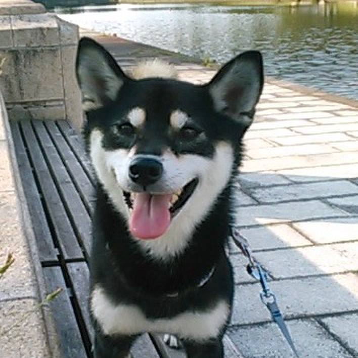 66c142bc ffe3 4ea8 b00b c6e9a15ca029