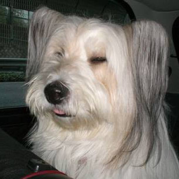 66c229ce 31cd 408b 92dc a10506bb49df